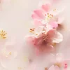 Fashion Rituals Luxurious Scent Booster & Softener in 1