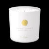 Shop Rituals Medium Savage Garden Scented Candle
