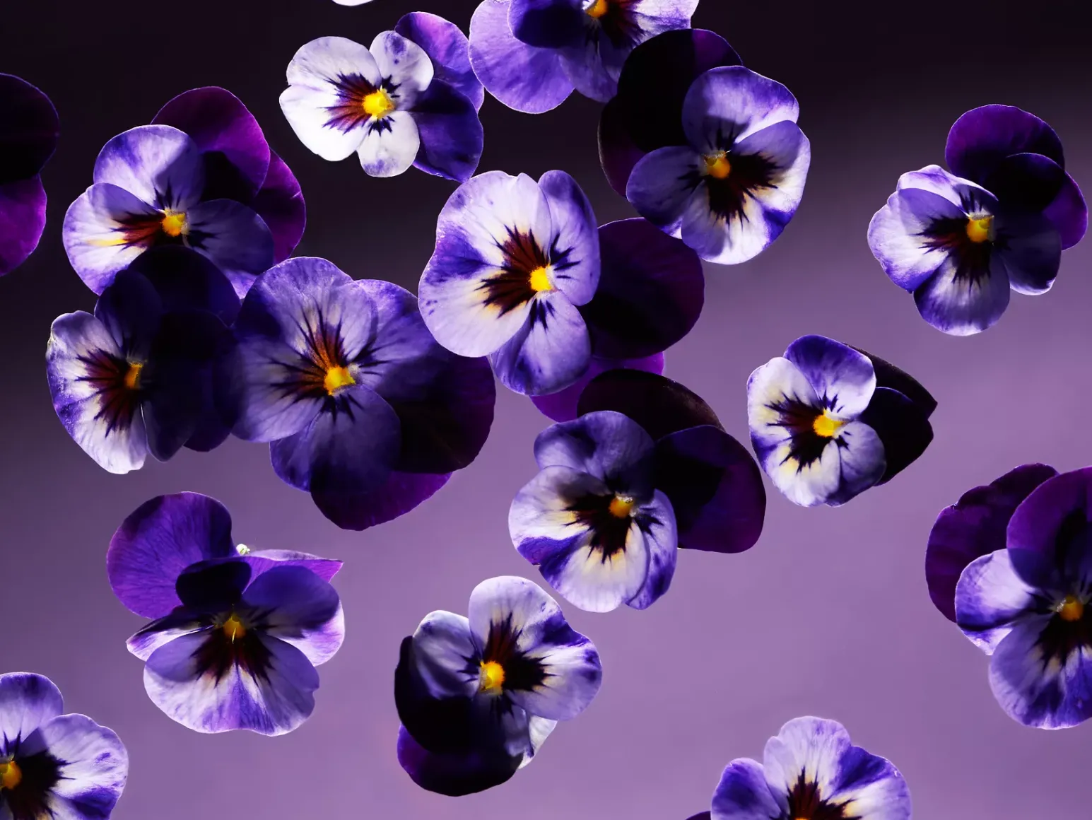 Cheap Rituals Smooth Violet Refill Fragrance Sticks